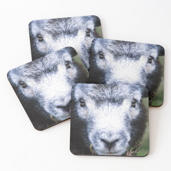 Item preview, The Smile of a Herdwick designed and sold by Murph's Images.