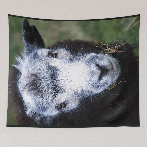 Item preview, The Smile of a Herdwick designed and sold by Murph's Images.