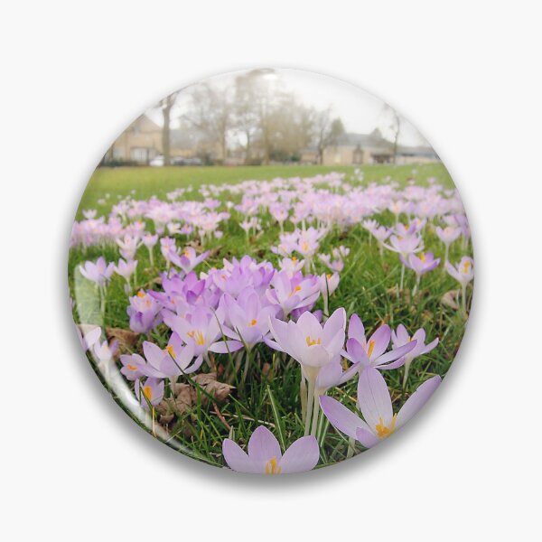 Item preview, Morning Hocus Crocus designed and sold by Murph's Images.