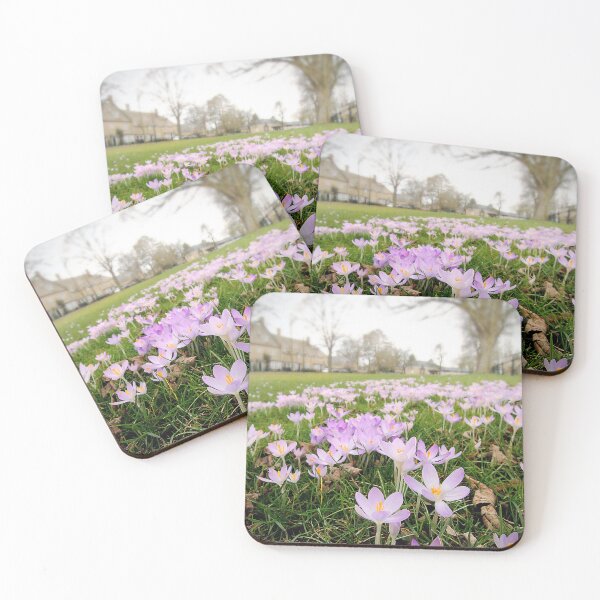 Item preview, Morning Hocus Crocus designed and sold by Murph's Images.