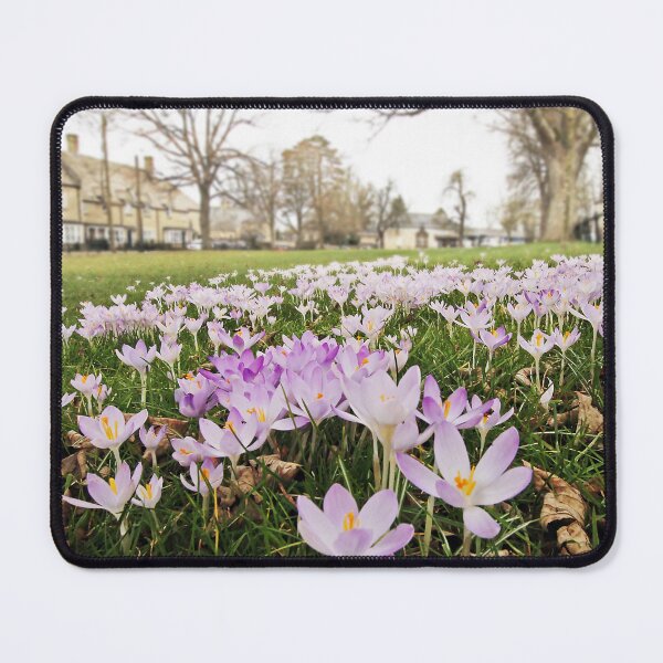 Item preview, Morning Hocus Crocus designed and sold by Murph's Images.