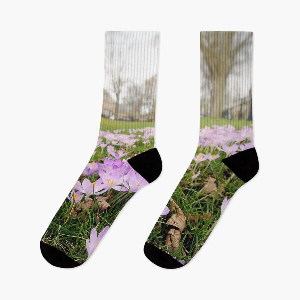 Item preview, Morning Hocus Crocus designed and sold by Murph's Images.