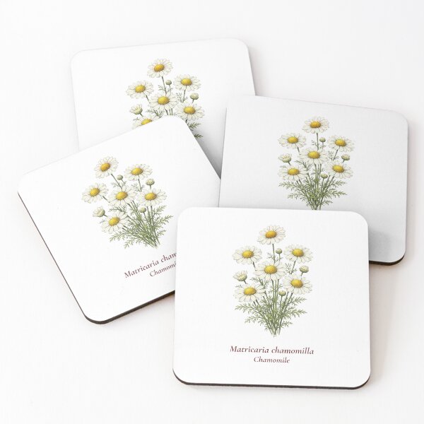 Item preview, Chamomile Botanical T-Shirt | Matricaria chamomilla Vintage Illustration | Herb Lover Gift designed and sold by Panom Suavichien.
