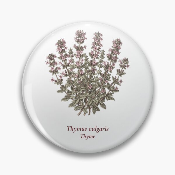 Item preview, Thyme Botanical T-Shirt | Thymus vulgaris Vintage Illustration | Herb Lover Gift designed and sold by Panom Suavichien.