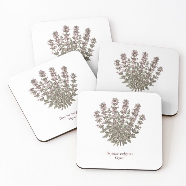 Item preview, Thyme Botanical T-Shirt | Thymus vulgaris Vintage Illustration | Herb Lover Gift designed and sold by Panom Suavichien.