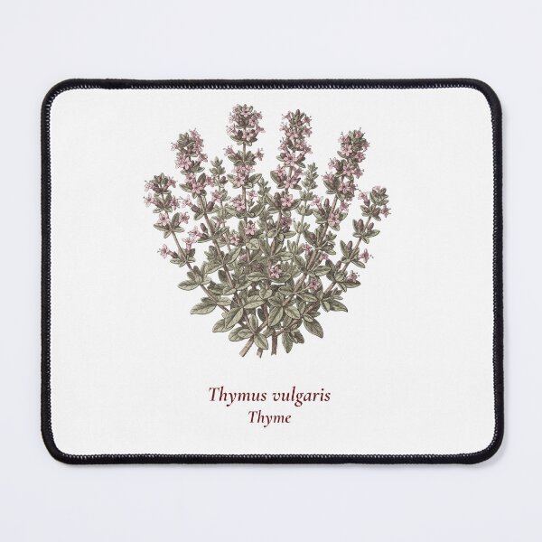 Item preview, Thyme Botanical T-Shirt | Thymus vulgaris Vintage Illustration | Herb Lover Gift designed and sold by Panom Suavichien.