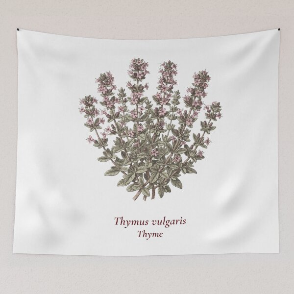 Item preview, Thyme Botanical T-Shirt | Thymus vulgaris Vintage Illustration | Herb Lover Gift designed and sold by Panom Suavichien.