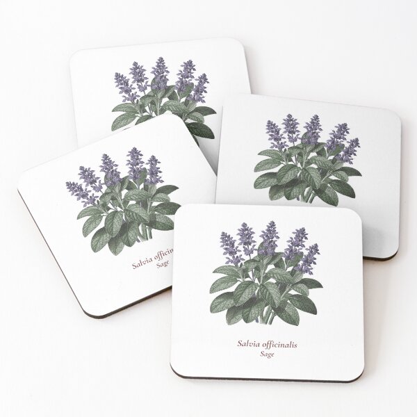 Artikelvorschau, Botanisches Salbei-T-Shirt | Vintage-Illustration von Salvia officinalis | Geschenk für Kräuterliebhaber entworfen und verkauft von Panom Suavichien.