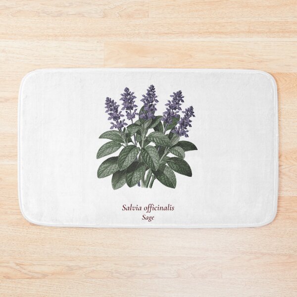 Item preview, Sage Botanical T-Shirt | Salvia officinalis Vintage Illustration | Herb Lover Gift designed and sold by Panom Suavichien.