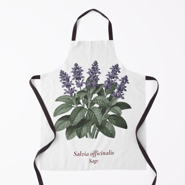 Artikelvorschau, Botanisches Salbei-T-Shirt | Vintage-Illustration von Salvia officinalis | Geschenk für Kräuterliebhaber entworfen und verkauft von Panom Suavichien.