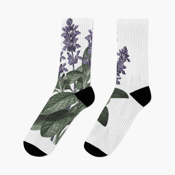 Item preview, Sage Botanical T-Shirt | Salvia officinalis Vintage Illustration | Herb Lover Gift designed and sold by Panom Suavichien.