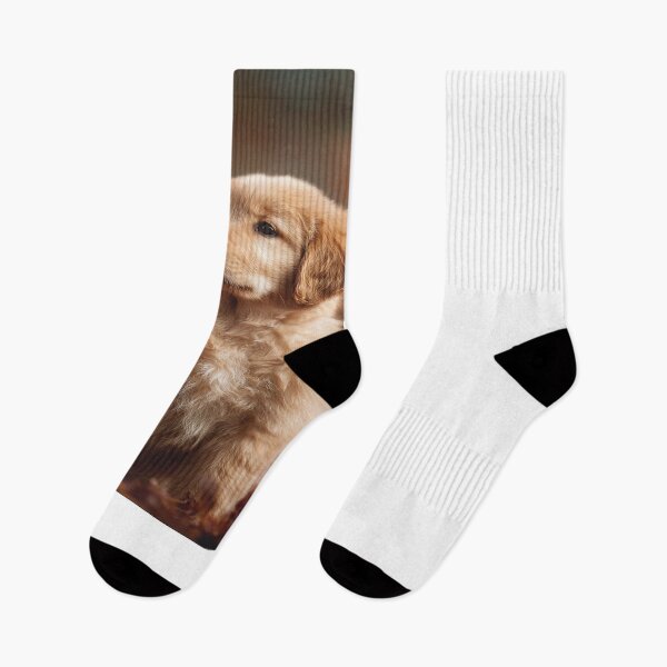 Item preview, Golden Retriever Puppy Autumn Leaves Dog Lover designed and sold by NicolasGlowArt.