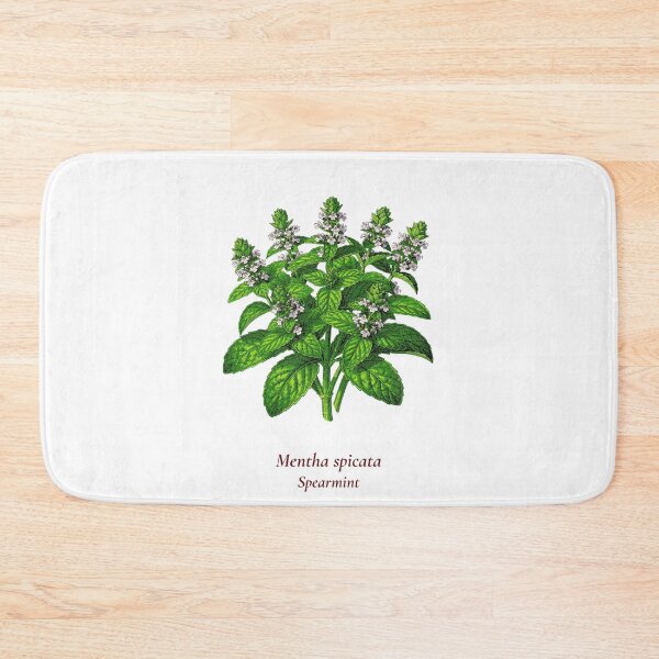 Item preview, Spearmint Botanical T-Shirt | Mentha spicata Vintage Illustration | Herb Lover Gift designed and sold by Panom Suavichien.