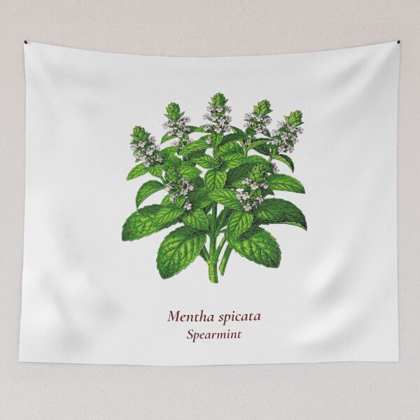 Item preview, Spearmint Botanical T-Shirt | Mentha spicata Vintage Illustration | Herb Lover Gift designed and sold by Panom Suavichien.