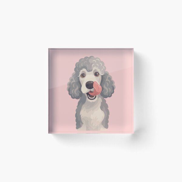 Item preview, Curly Grey Poodle Dog Licking Nose Illustration designed and sold by BrownHorse90s.