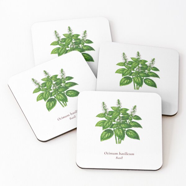 Item preview, Basil Botanical T-Shirt | Ocimum basilicum Vintage Illustration | Herb Lover Gift designed and sold by Panom Suavichien.