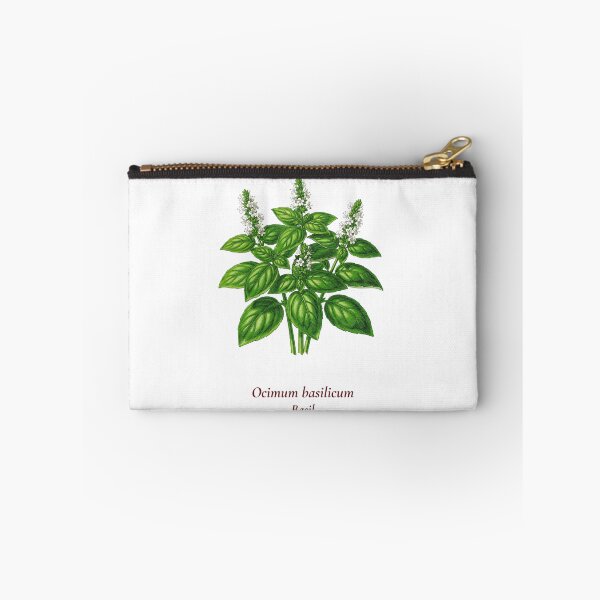 Aperçu de l'œuvre T-shirt botanique au basilic | Ocimum basilicum illustration vintage | Cadeau d'amant d'herbes créée et vendue par Panom Suavichien.