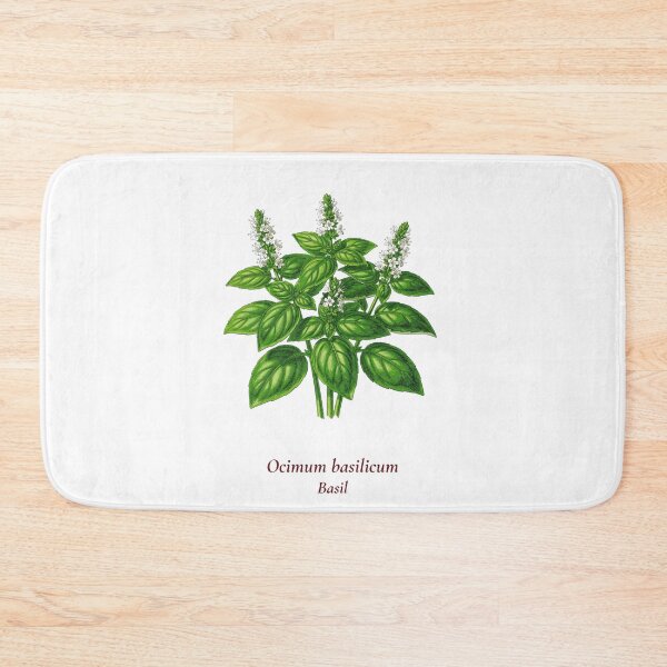 Item preview, Basil Botanical T-Shirt | Ocimum basilicum Vintage Illustration | Herb Lover Gift designed and sold by Panom Suavichien.