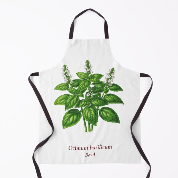 Item preview, Basil Botanical T-Shirt | Ocimum basilicum Vintage Illustration | Herb Lover Gift designed and sold by Panom Suavichien.