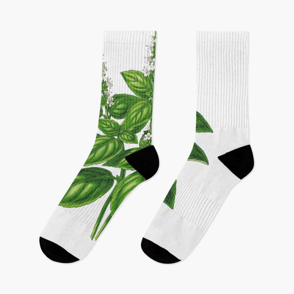 Item preview, Basil Botanical T-Shirt | Ocimum basilicum Vintage Illustration | Herb Lover Gift designed and sold by Panom Suavichien.