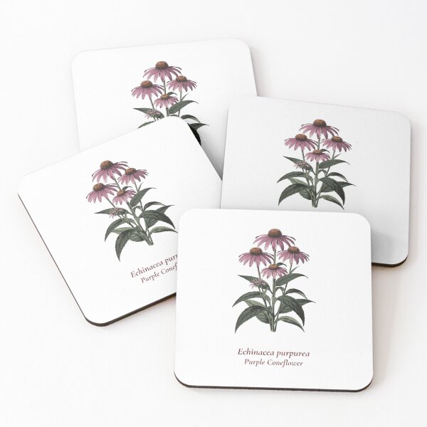 Item preview, Echinacea Botanical T-Shirt | Echinacea purpurea Vintage Illustration | Wildflower Herb Gift designed and sold by Panom Suavichien.