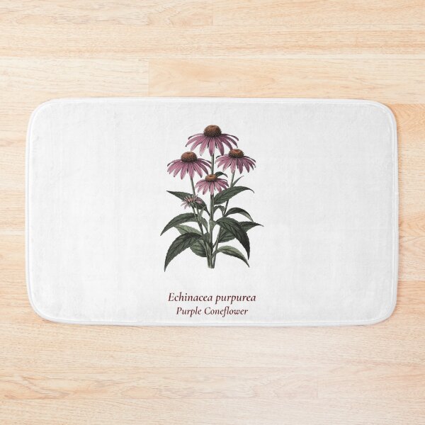 Item preview, Echinacea Botanical T-Shirt | Echinacea purpurea Vintage Illustration | Wildflower Herb Gift designed and sold by Panom Suavichien.
