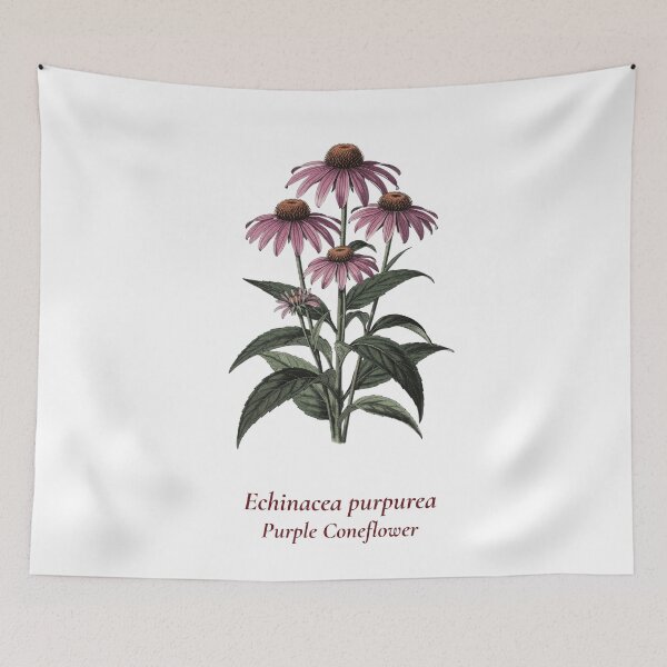 Item preview, Echinacea Botanical T-Shirt | Echinacea purpurea Vintage Illustration | Wildflower Herb Gift designed and sold by Panom Suavichien.