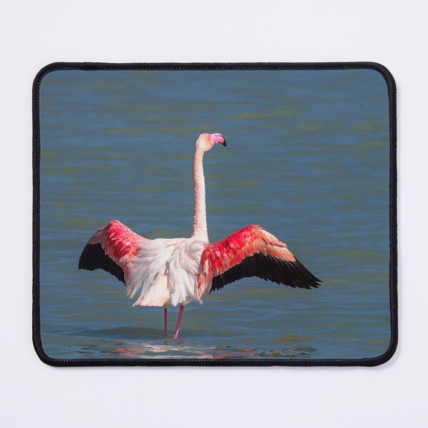 Item preview, King of the world designed and sold by Ralph Goldsmith.