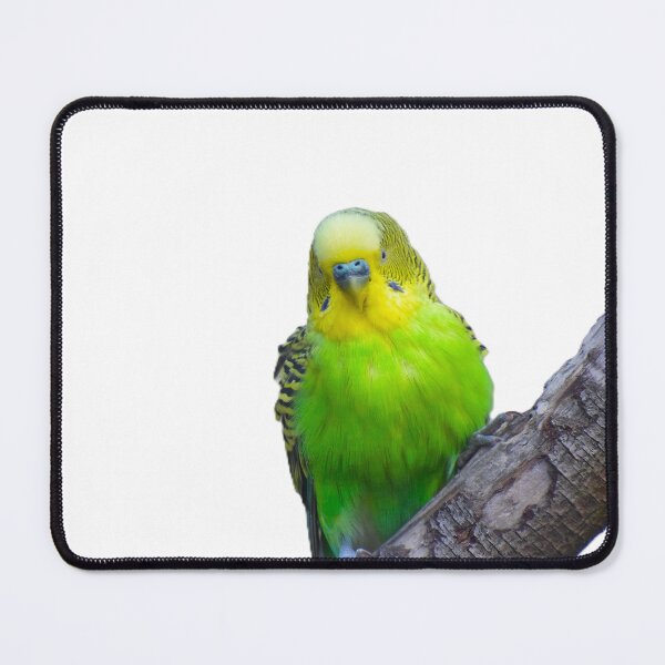 Item preview, Bright Green Budgie on Branch designed and sold by MeadowMagicDesigns.