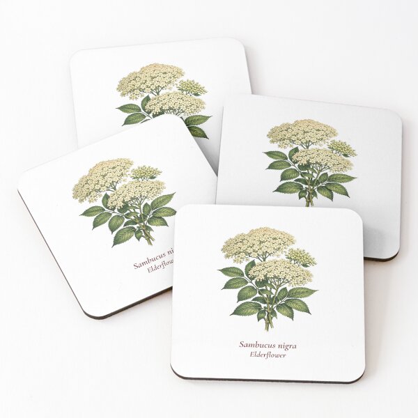 Item preview, Elderflower Botanical T-Shirt | Sambucus nigra Vintage Illustration | British Garden Gift designed and sold by Panom Suavichien.