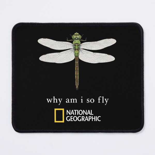 Item preview, Vintage National Geographic "Why Am I So Fly" designed and sold by Vonravenn.