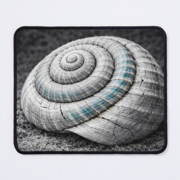 Item preview, Spiral Seashell on Sand Minimal Texture designed and sold by Ykvaere.