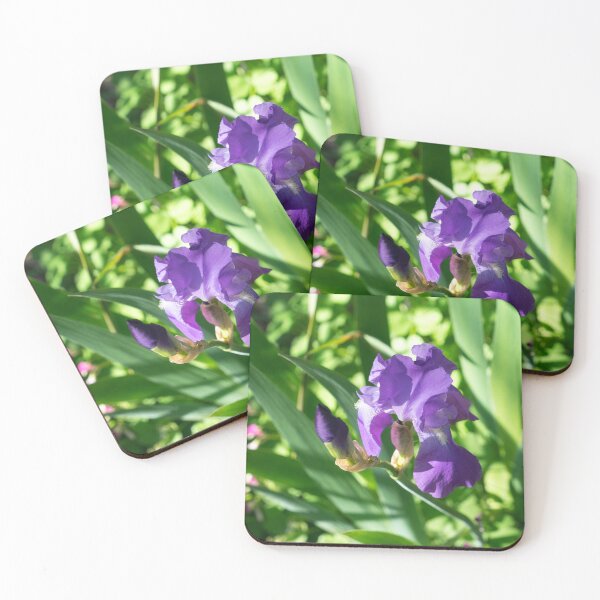 Item preview, Amethyst Purple Iris Bloom and Bud designed and sold by Georgia Mizuleva.