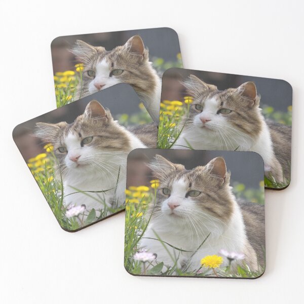 Item preview, Calm Cat in Spring Flowers – Peaceful Nature Close-Up designed and sold by MB-CatPrints.