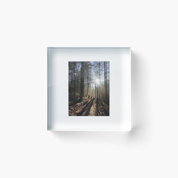 Item preview, Sunlight Through Winter Forest Trees, Shropshire England designed and sold by TheGildedGrove.