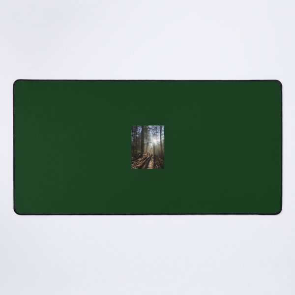 Item preview, Sunlight Through Winter Forest Trees, Shropshire England designed and sold by TheGildedGrove.