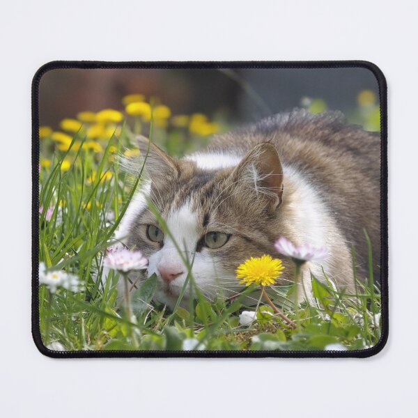 Item preview, Stealth Cat in Grass – Hunting Mode Activated designed and sold by MB-CatPrints.