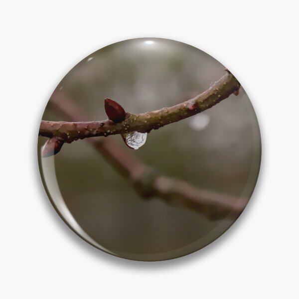 Item preview, Single Raindrop on Budding Tree Branch designed and sold by ShotsbyDesiree.
