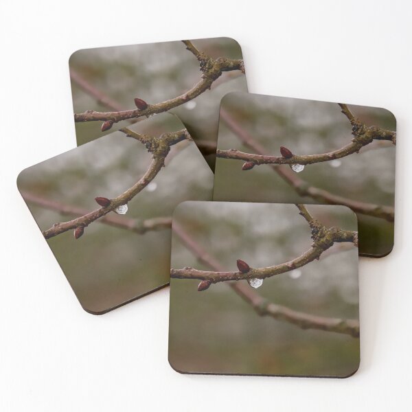 Item preview, Single Raindrop on Budding Tree Branch designed and sold by ShotsbyDesiree.