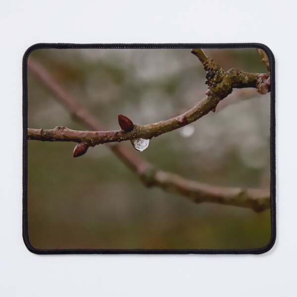 Item preview, Single Raindrop on Budding Tree Branch designed and sold by ShotsbyDesiree.