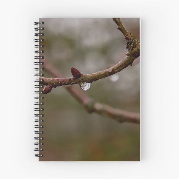 Item preview, Single Raindrop on Budding Tree Branch designed and sold by ShotsbyDesiree.