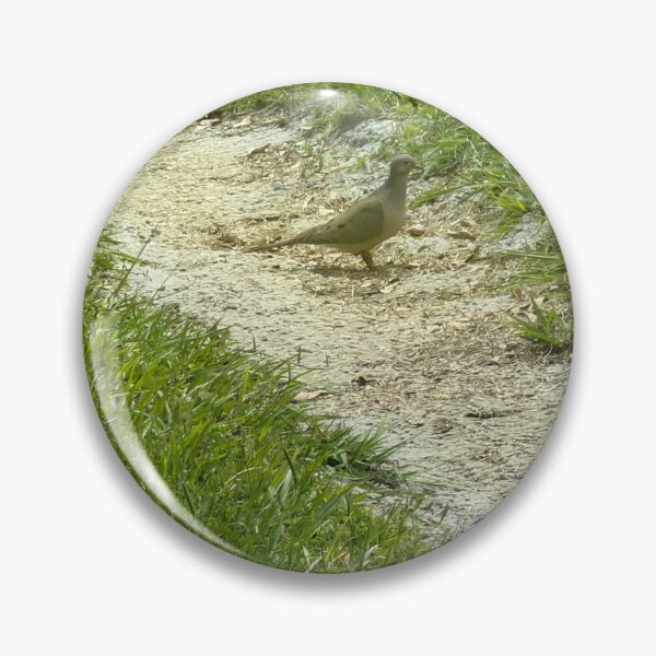 Item preview, Peaceful Moment with a Mourning Dove. designed and sold by Pearls1.