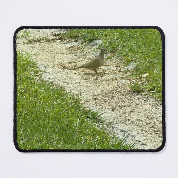 Item preview, Peaceful Moment with a Mourning Dove. designed and sold by Pearls1.