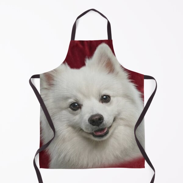 Item preview, Vibrant White Spitz Portrait on Royal Red Background designed and sold by NeelamDesignsArt.