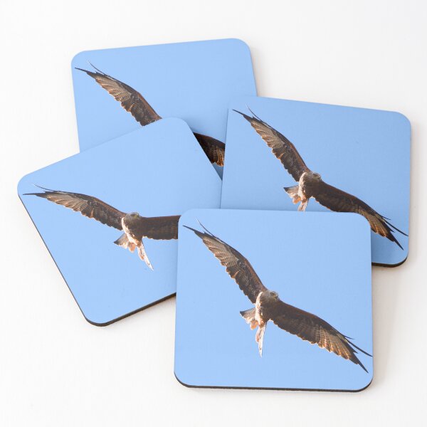 Item preview, Above the Noise Bird Wall Art designed and sold by MammieLO Art.