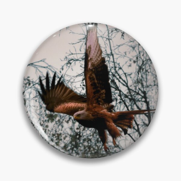 Item preview, Red Kite in Flight Wildlife Photography Print UK Bird of Prey designed and sold by MammieLO Art.