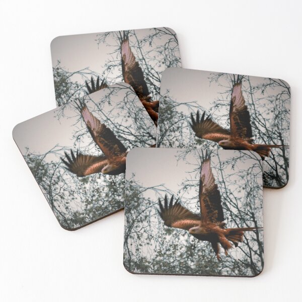 Item preview, Red Kite in Flight Wildlife Photography Print UK Bird of Prey designed and sold by MammieLO Art.