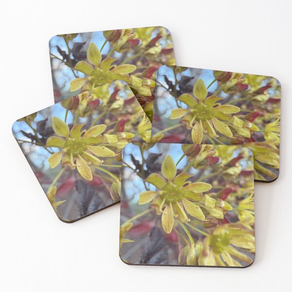 Item preview, Maple Blossoms designed and sold by Betsy Phillips.