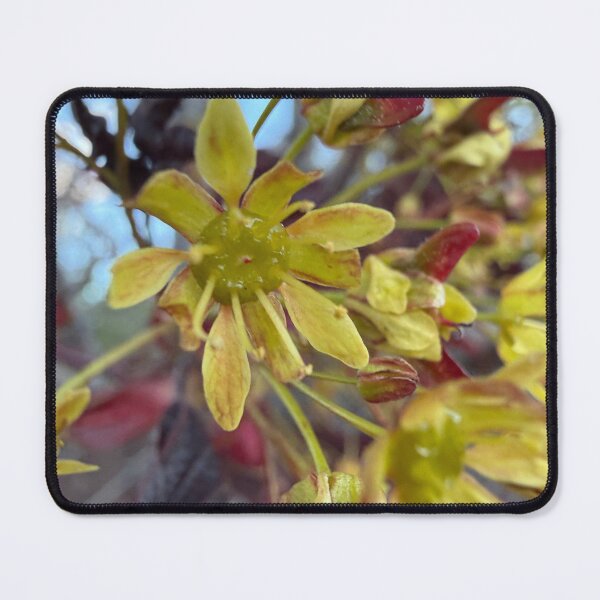 Item preview, Maple Blossoms designed and sold by Betsy Phillips.