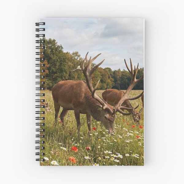 Item preview, Deer at rest designed and sold by missmoneypenny.